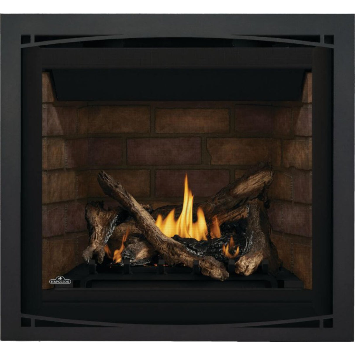 Napoleon Altitude 36'' Direct Vent Gas Fireplace