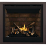 Napoleon Altitude 36'' Direct Vent Gas Fireplace