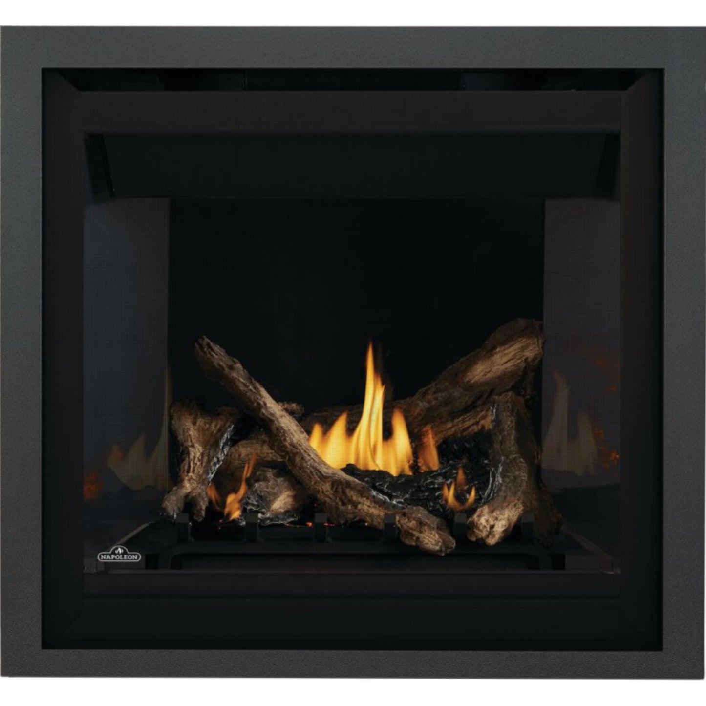 Napoleon Altitude 36'' Direct Vent Gas Fireplace