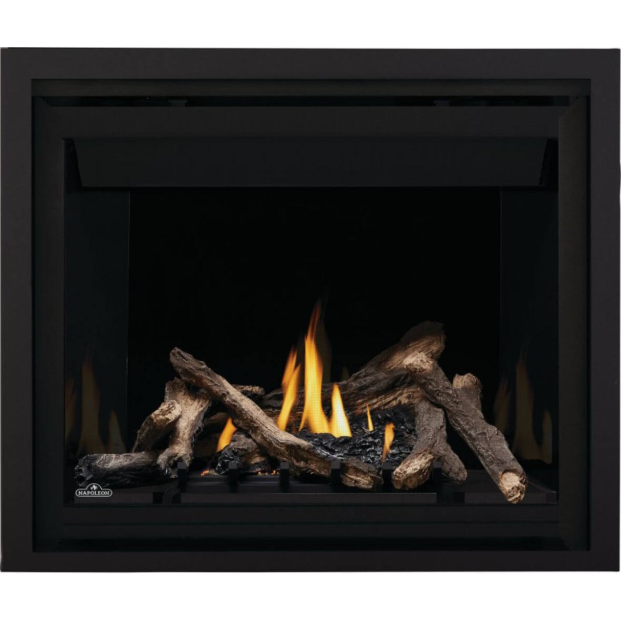 Napoleon Altitude 42'' Direct Vent Gas Fireplace