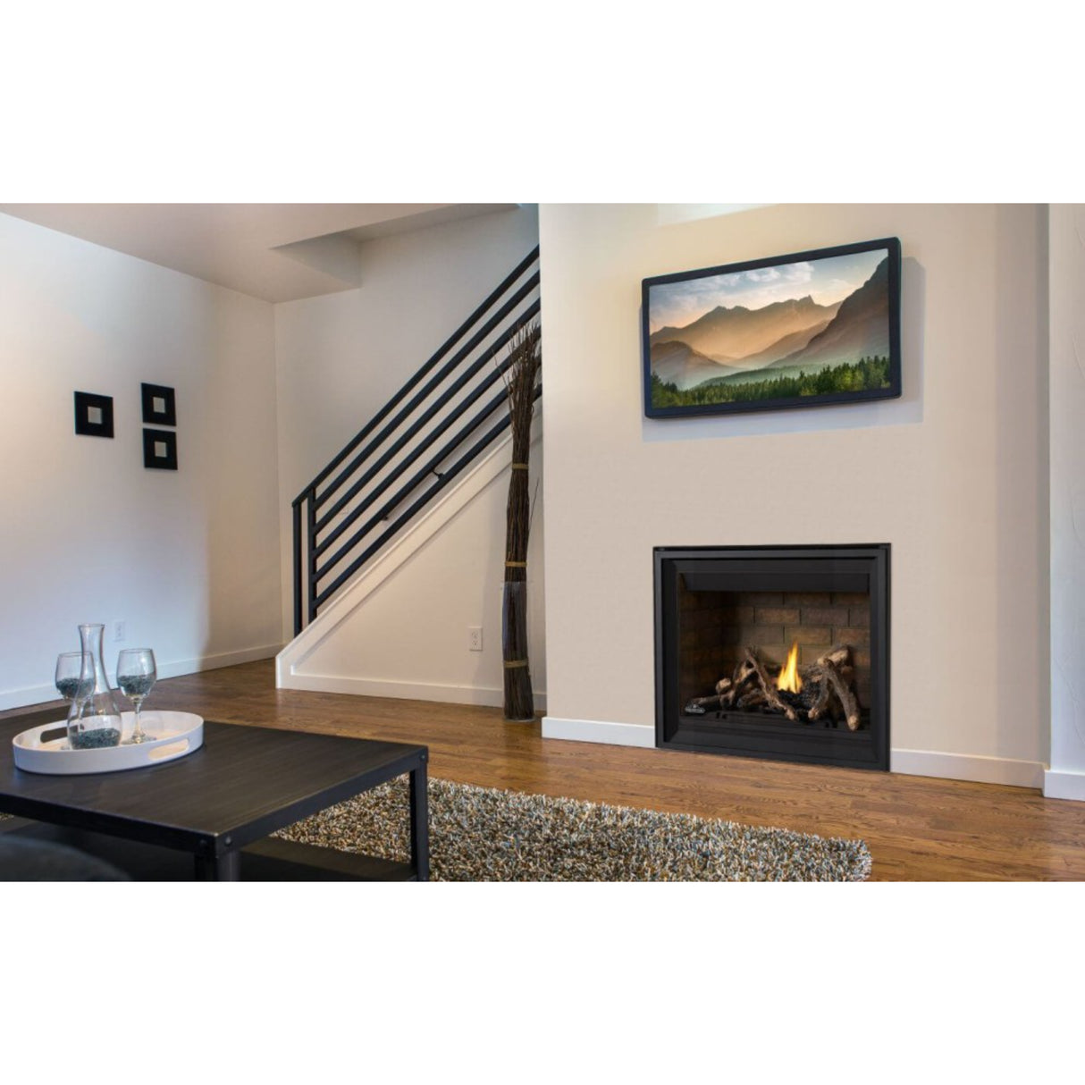 Napoleon Altitude 42'' Direct Vent Gas Fireplace