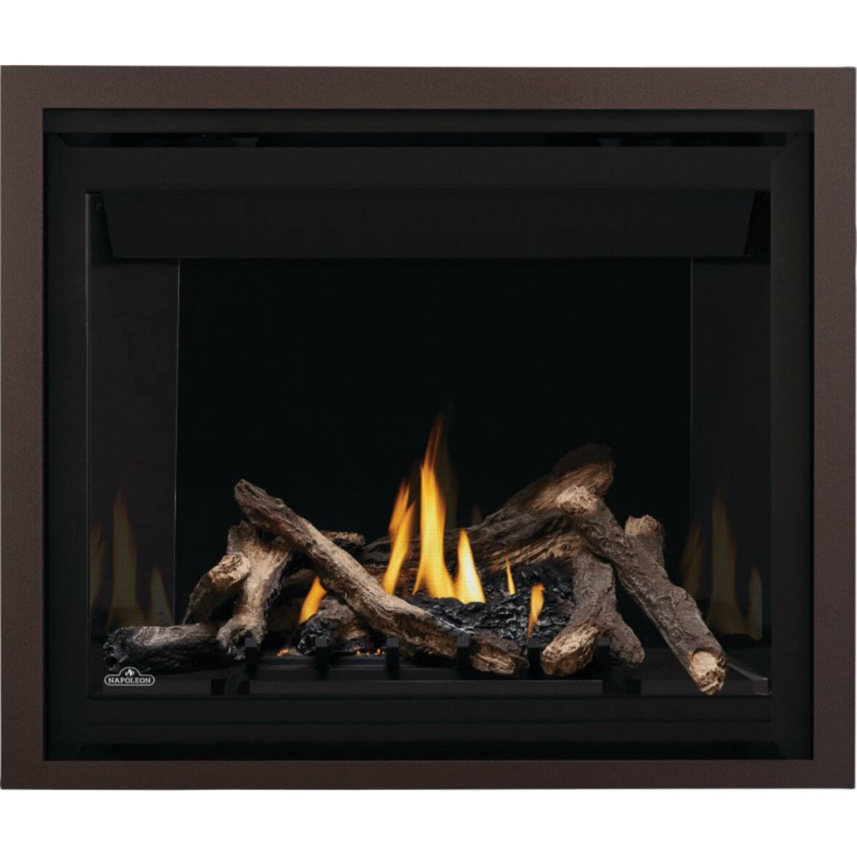 Napoleon Altitude 42'' Direct Vent Gas Fireplace