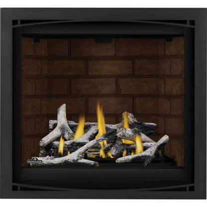 Napoleon Altitude X 36'' Direct Vent Gas Fireplace