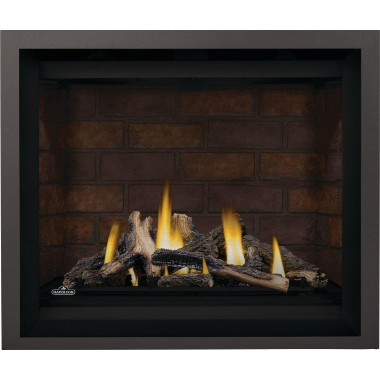 Napoleon Altitude X 42'' Direct Vent Gas Fireplace