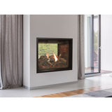 Empire Renegade Clean-Face Direct-Vent Fireplace, See-Through 40 TruFlame Technology