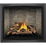 Napoleon Elevation 42'' Direct Vent Gas Fireplace