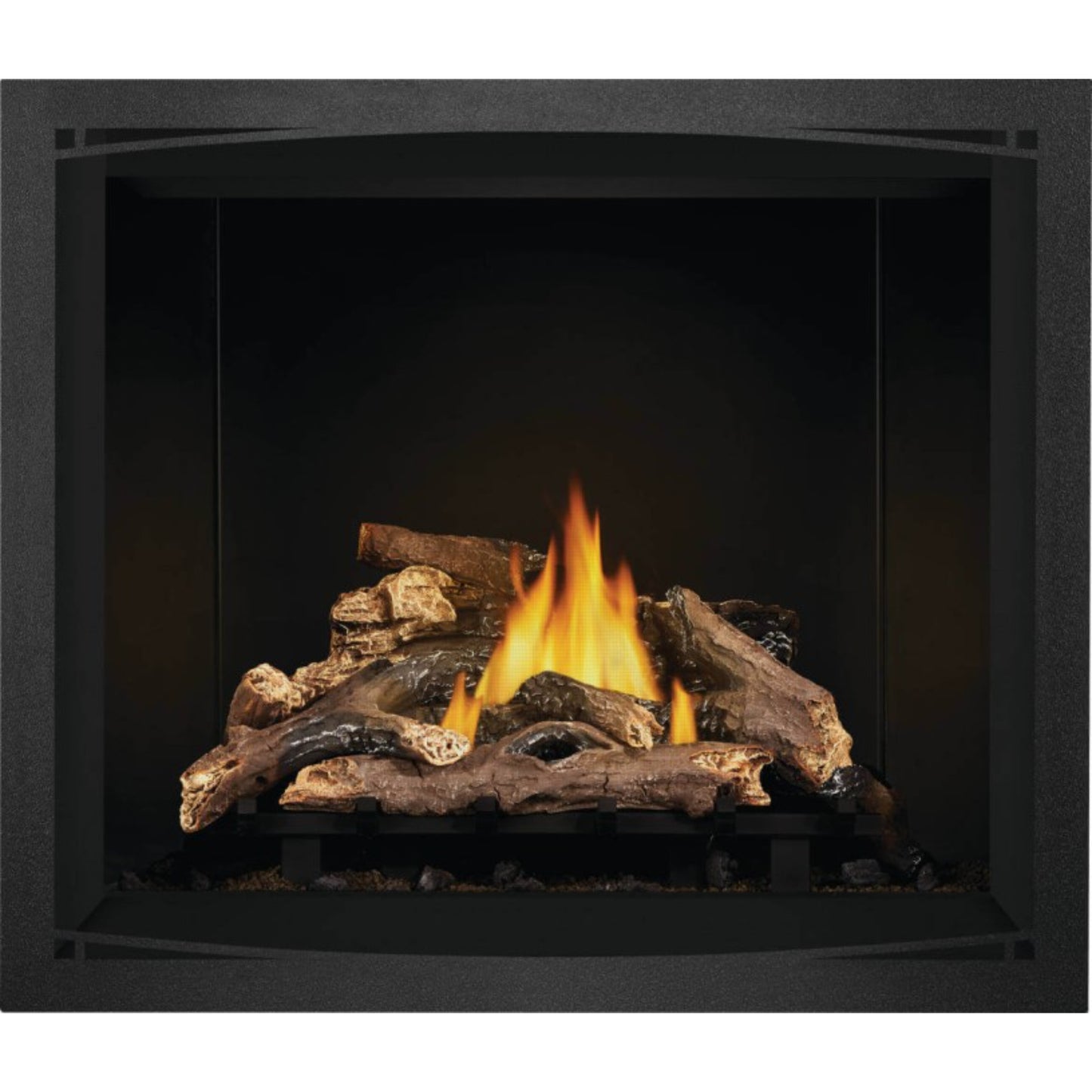 Napoleon Elevation 42'' Direct Vent Gas Fireplace