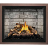 Napoleon Elevation 42'' Direct Vent Gas Fireplace