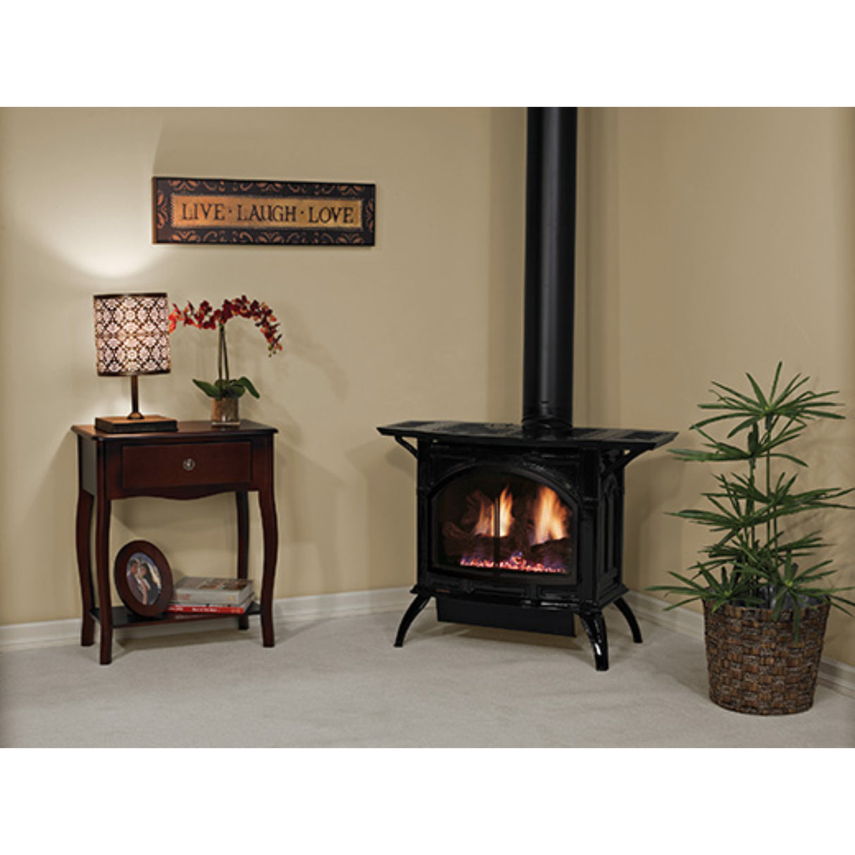 Empire Spirit Stove Small 20'' Cast Iron Direct-Vent Fireplace