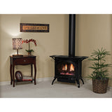 Empire Spirit Stove Small 20'' Cast Iron Direct-Vent Fireplace