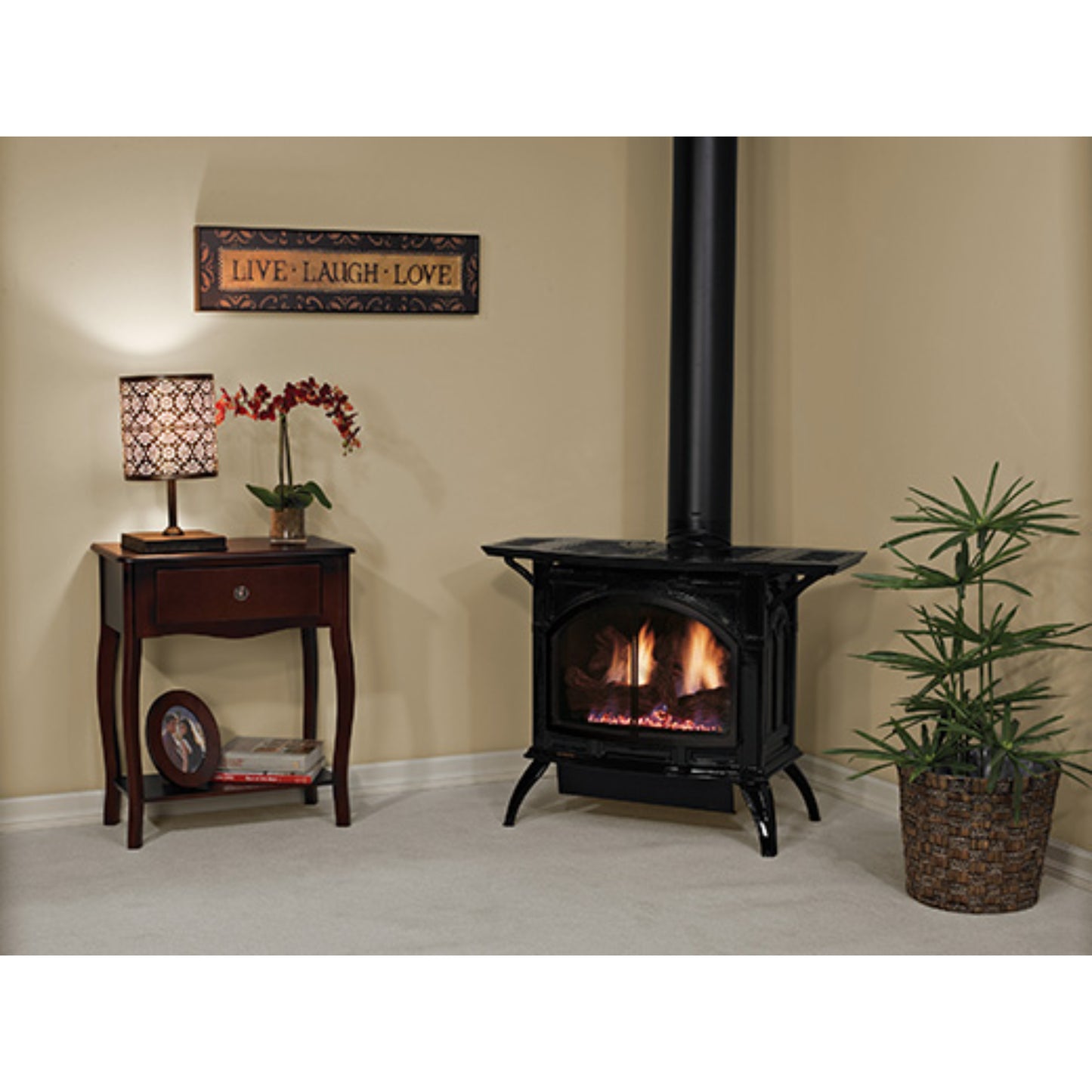 Empire Spirit Stove Medium 30 '' Cast Iron Direct-Vent Fireplace