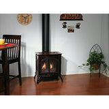 Empire Spirit Stove Small 20'' Cast Iron Direct-Vent Fireplace