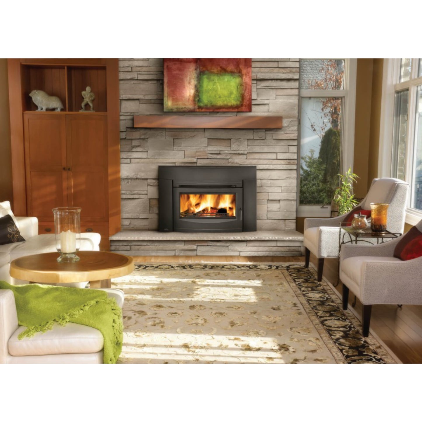 Napoleon Oakdale EPI3C Contemporary Wood Burning Fireplace Insert