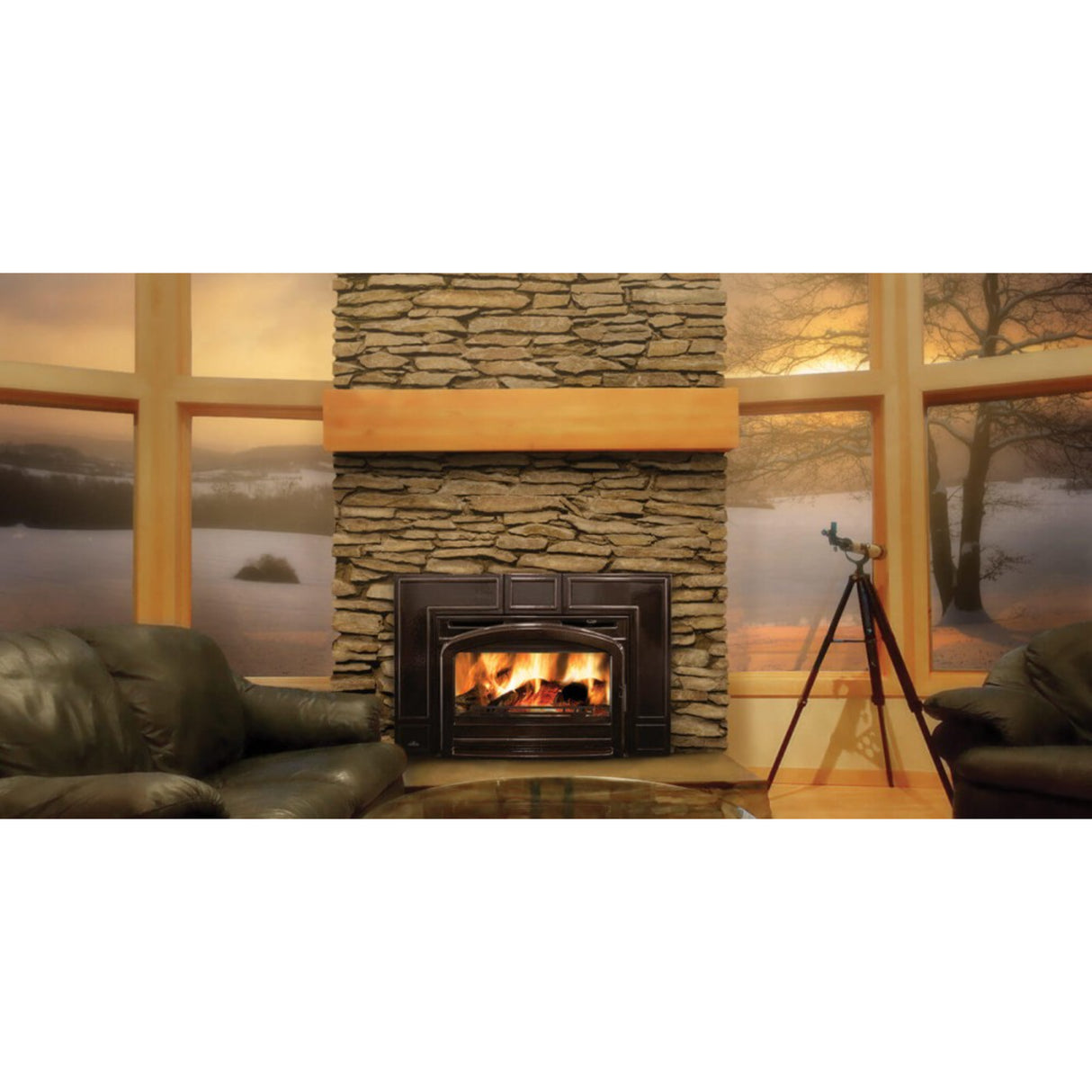 Napoleon Oakdale EPI3C Contemporary Wood Burning Fireplace Insert