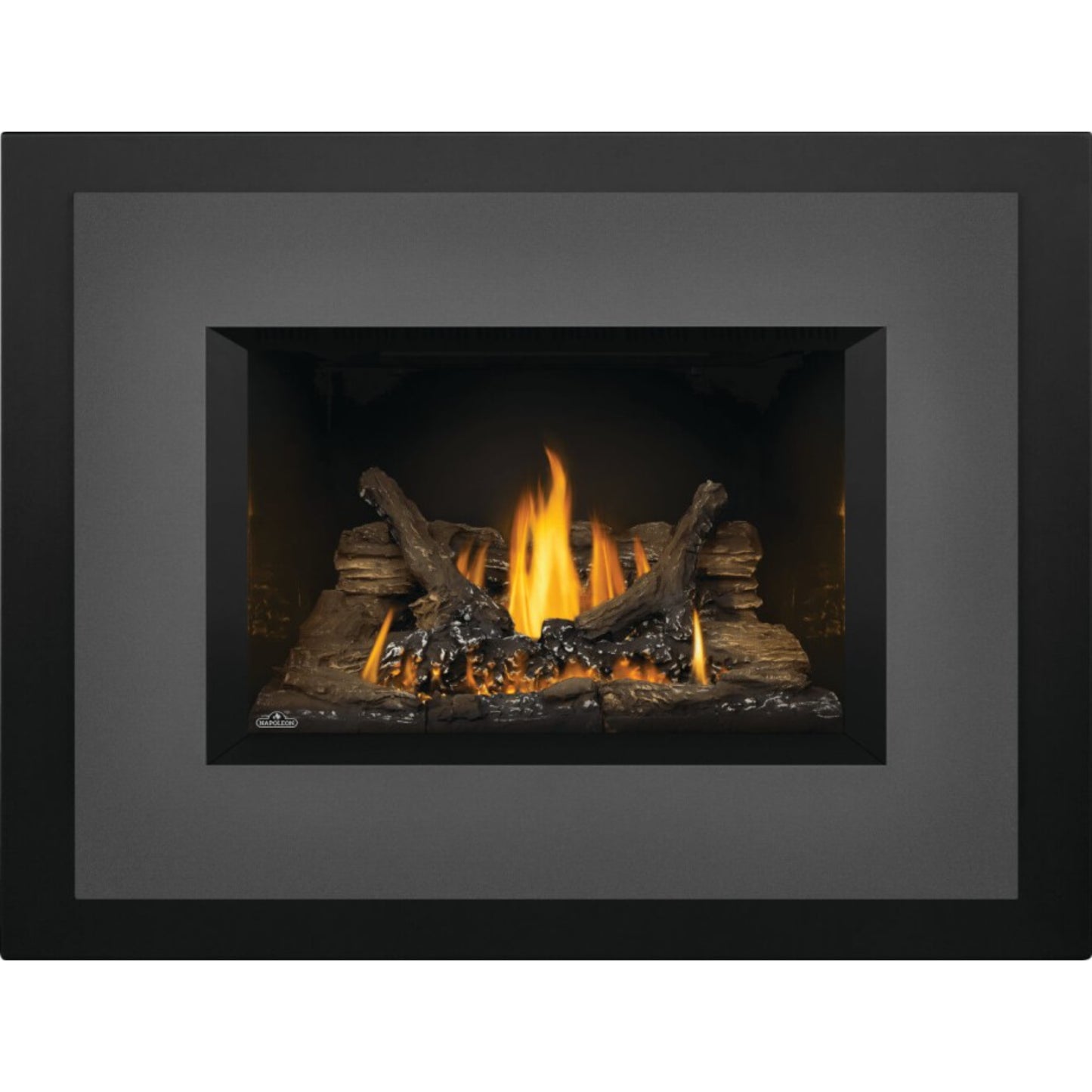 Napoleon Oakville 3 Direct Vent Gas Fireplace Insert