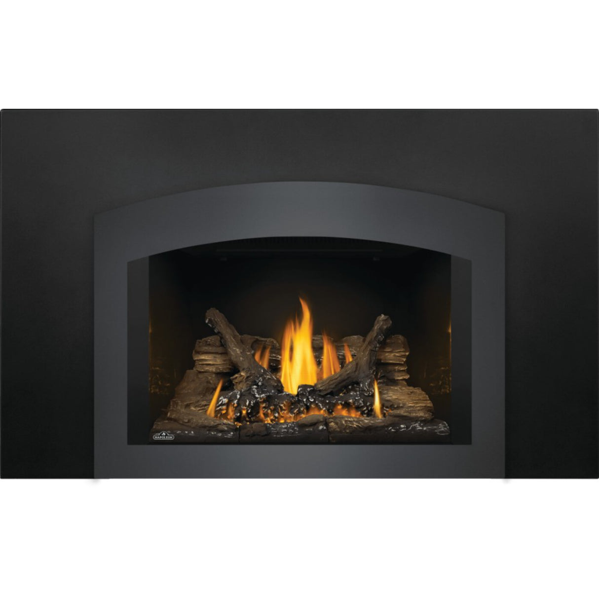 Napoleon Oakville 3 Direct Vent Gas Fireplace Insert