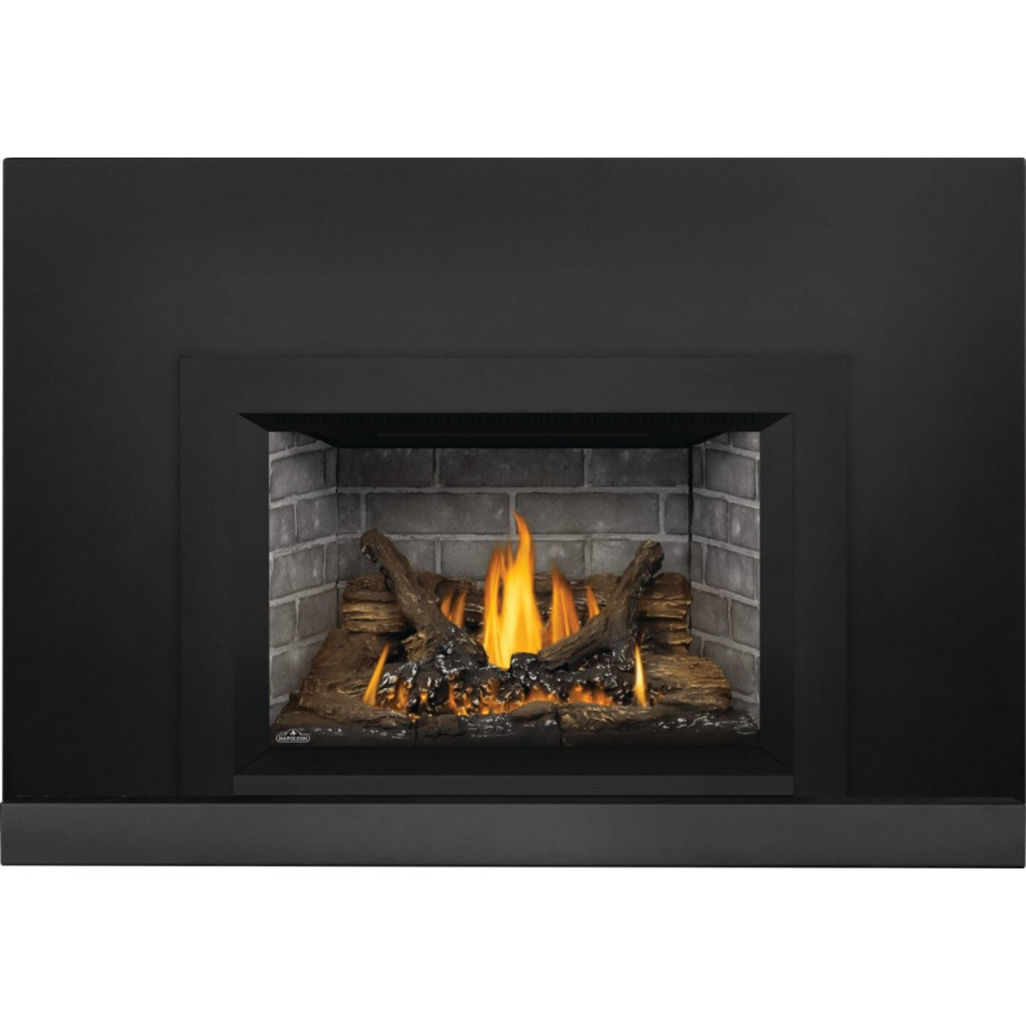 Napoleon Oakville 3 Direct Vent Gas Fireplace Insert