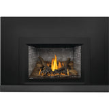 Napoleon Oakville 3 Direct Vent Gas Fireplace Insert