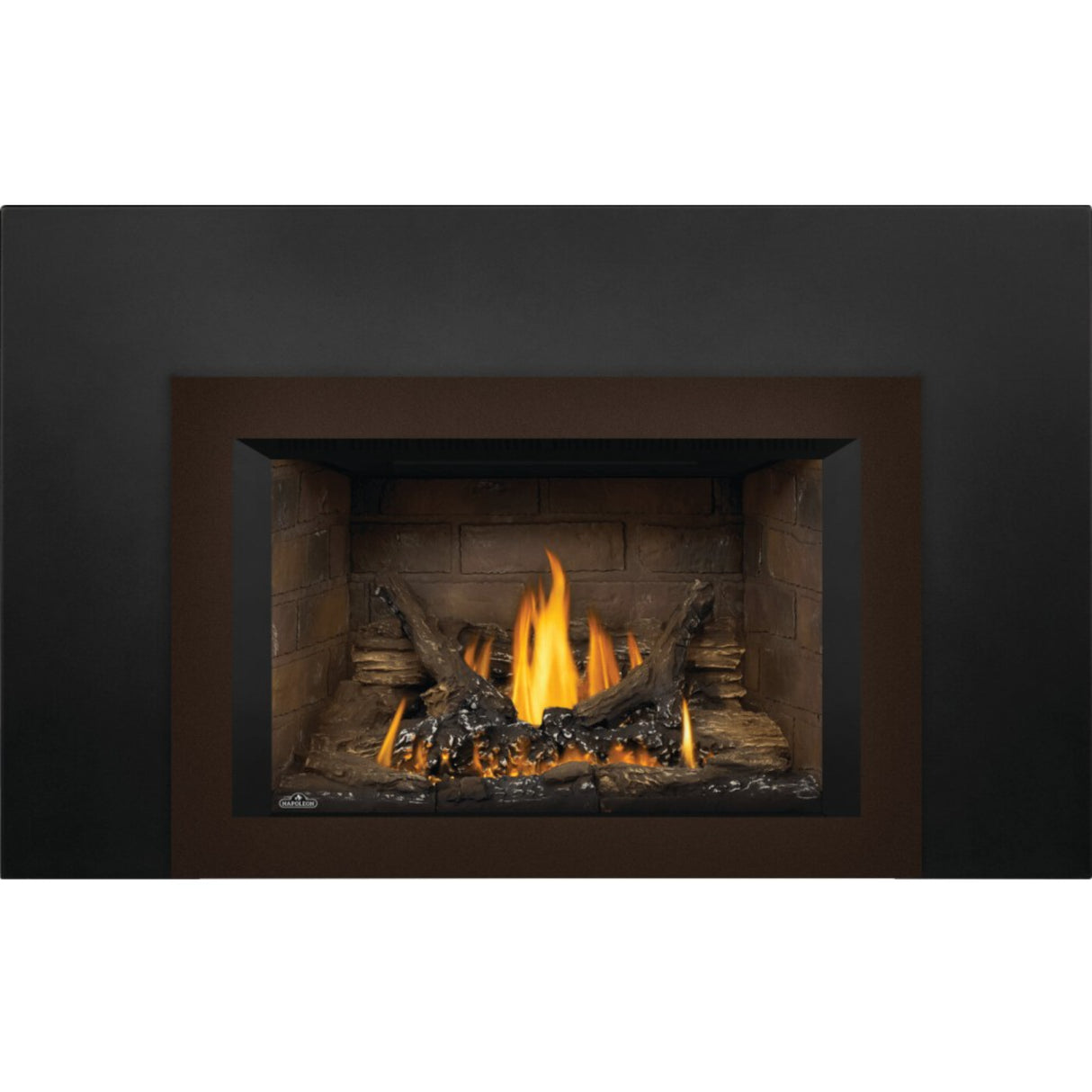 Napoleon Oakville 3 Direct Vent Gas Fireplace Insert