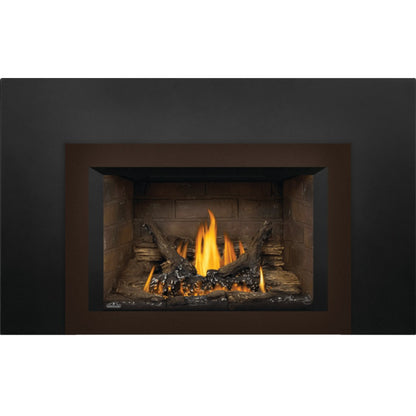 Napoleon Oakville 3 Direct Vent Gas Fireplace Insert