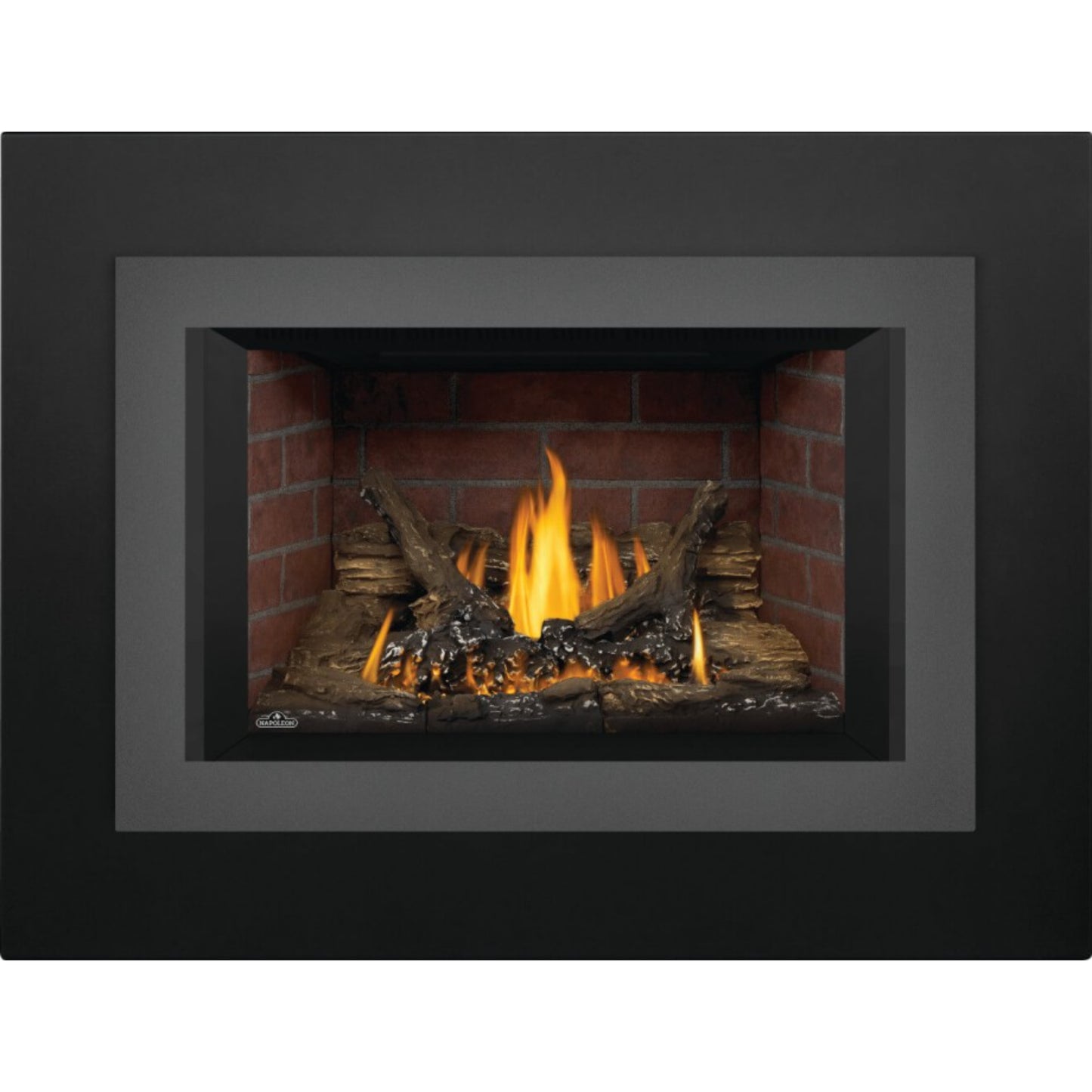 Napoleon Oakville 3 Direct Vent Gas Fireplace Insert