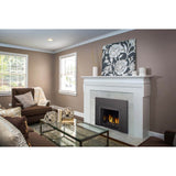 Napoleon Oakville 3 Glass Direct Vent Gas Fireplace Insert