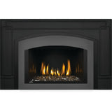 Napoleon Oakville 3 Glass Direct Vent Gas Fireplace Insert