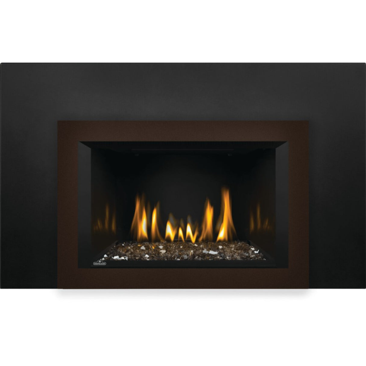 Napoleon Oakville 3 Glass Direct Vent Gas Fireplace Insert