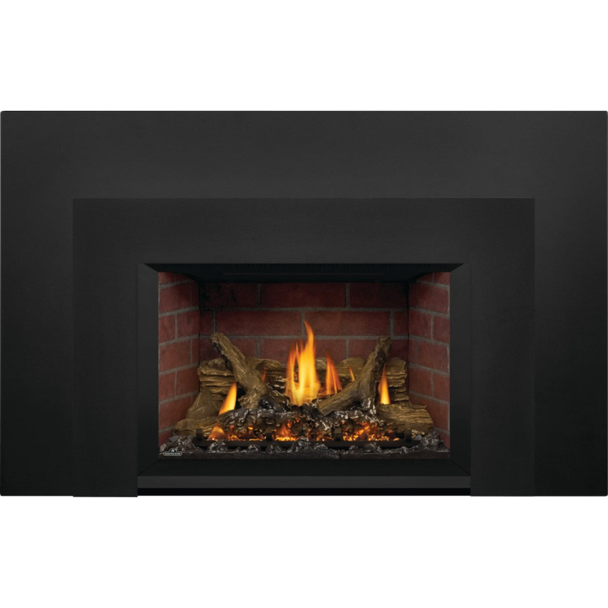 Napoleon Oakville X3 Direct Vent Gas Fireplace Insert