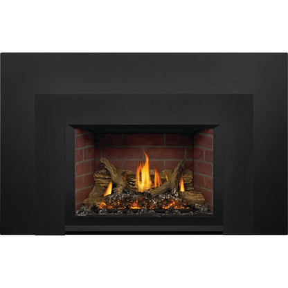 Napoleon Oakville X3 Direct Vent Gas Fireplace Insert