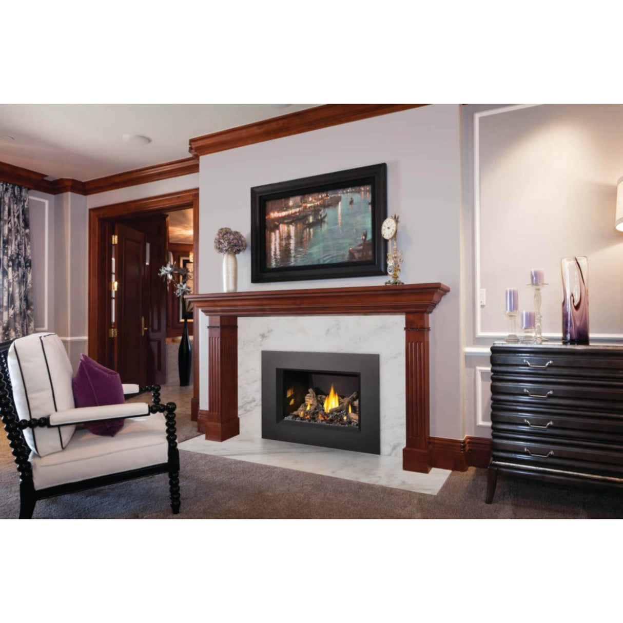 Napoleon Oakville X3 Direct Vent Gas Fireplace Insert