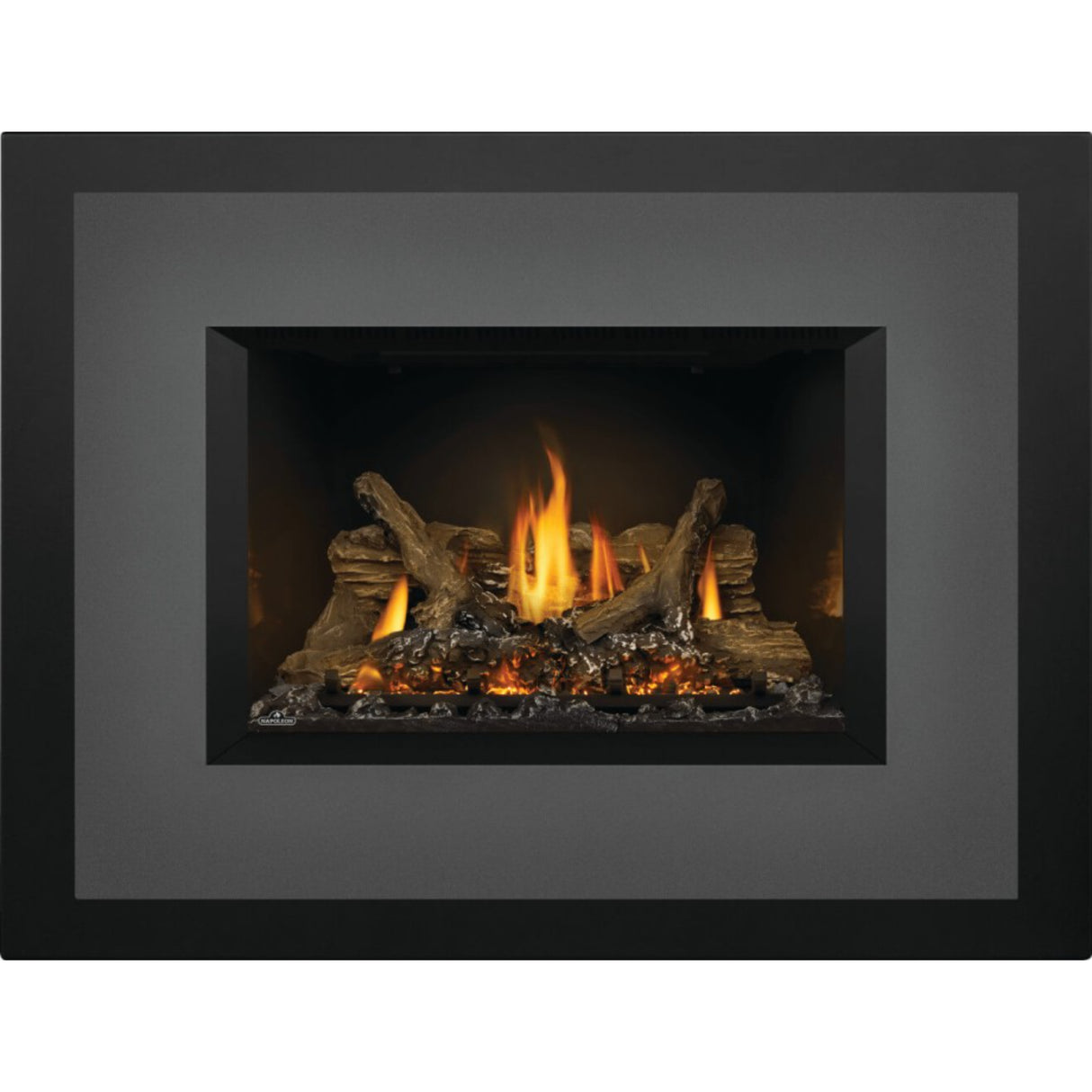 Napoleon Oakville X3 Direct Vent Gas Fireplace Insert