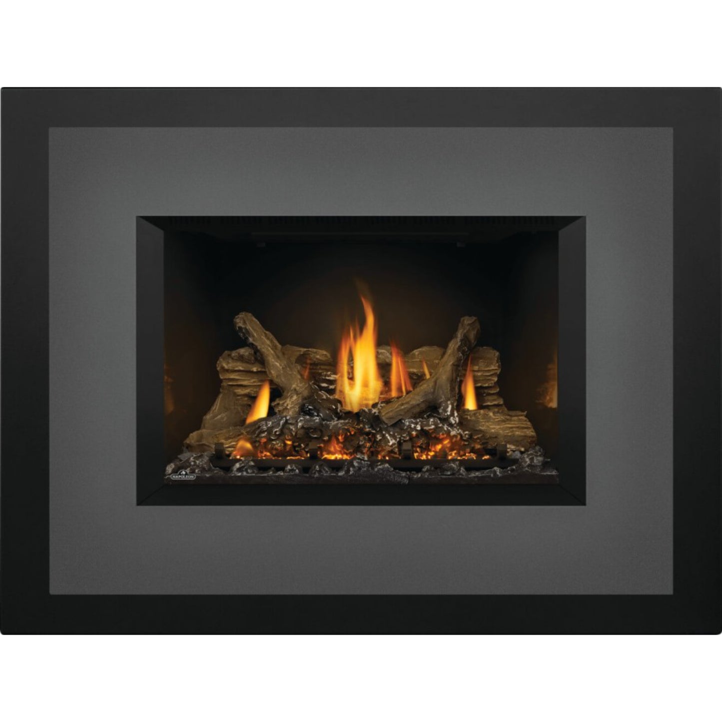 Napoleon Oakville X3 Direct Vent Gas Fireplace Insert