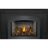 Napoleon Oakville X3 Direct Vent Gas Fireplace Insert