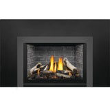 Napoleon Oakville X3 Direct Vent Gas Fireplace Insert