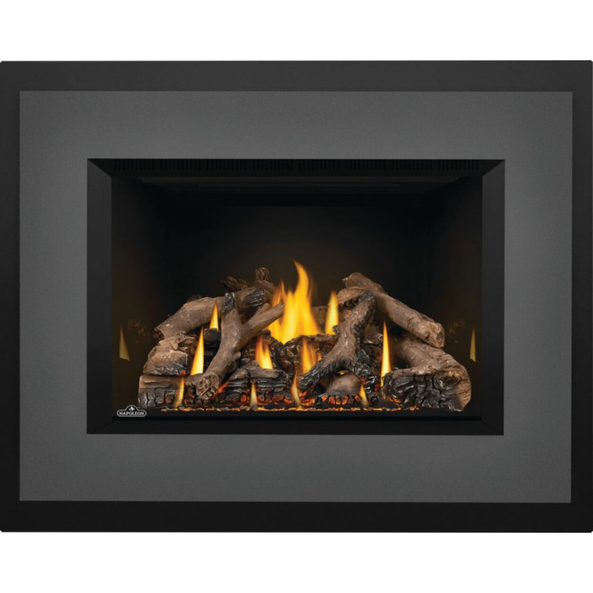 Napoleon Oakville X4 Direct Vent Gas Fireplace Insert