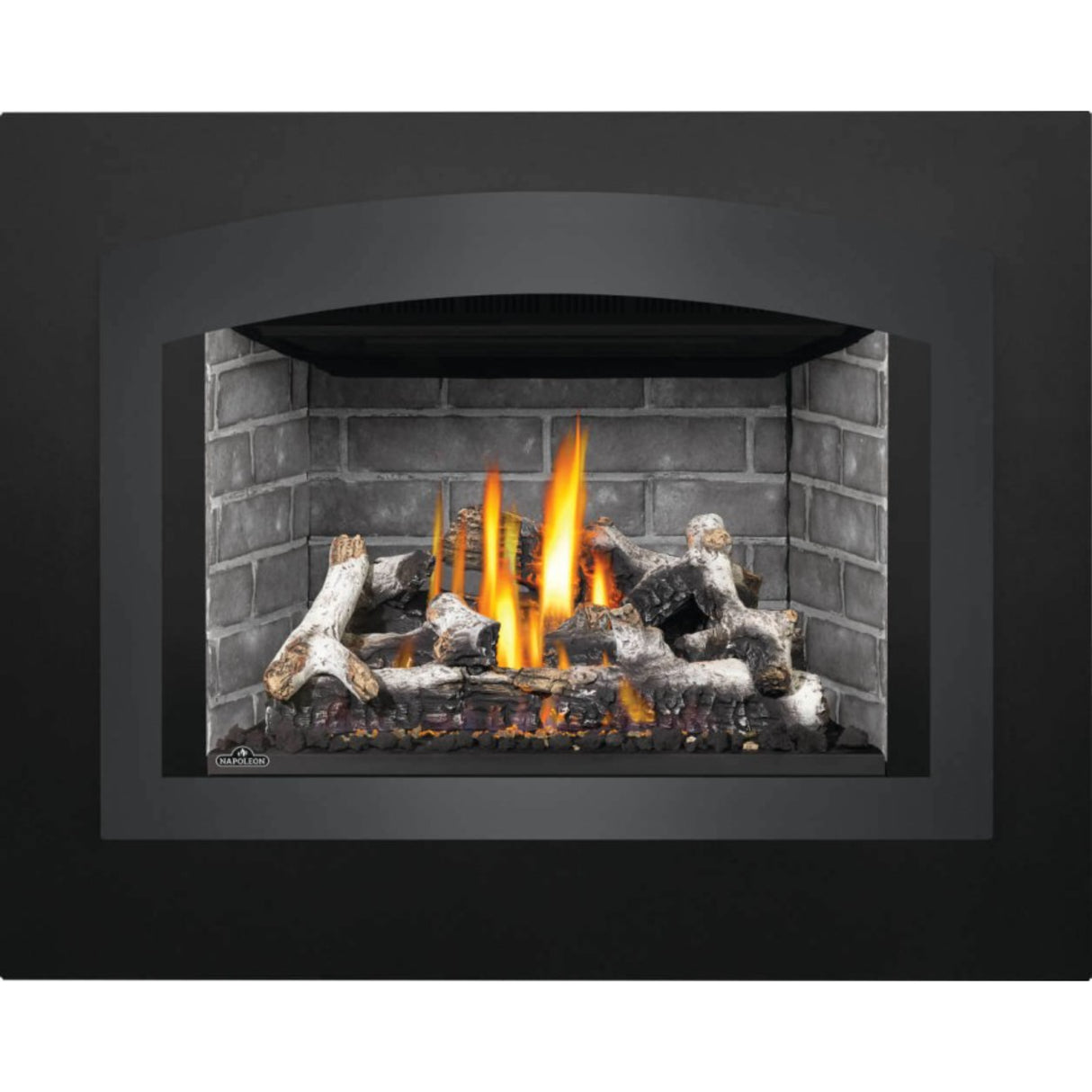 Napoleon Oakville X4 Direct Vent Gas Fireplace Insert