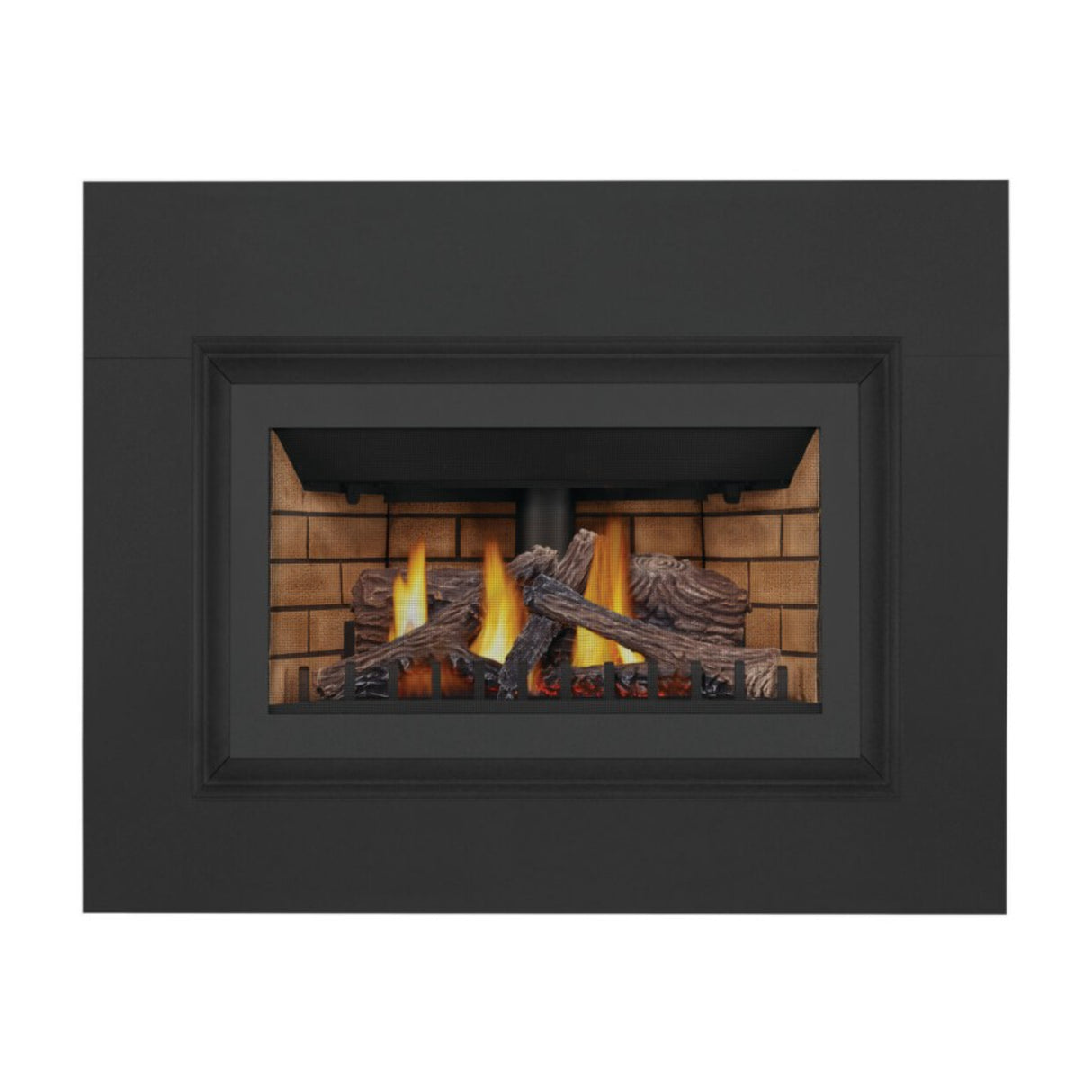 Napoleon Inspiration ZC Direct Vent Gas Fireplace Insert, Millivolt Ignition, Natural Gas