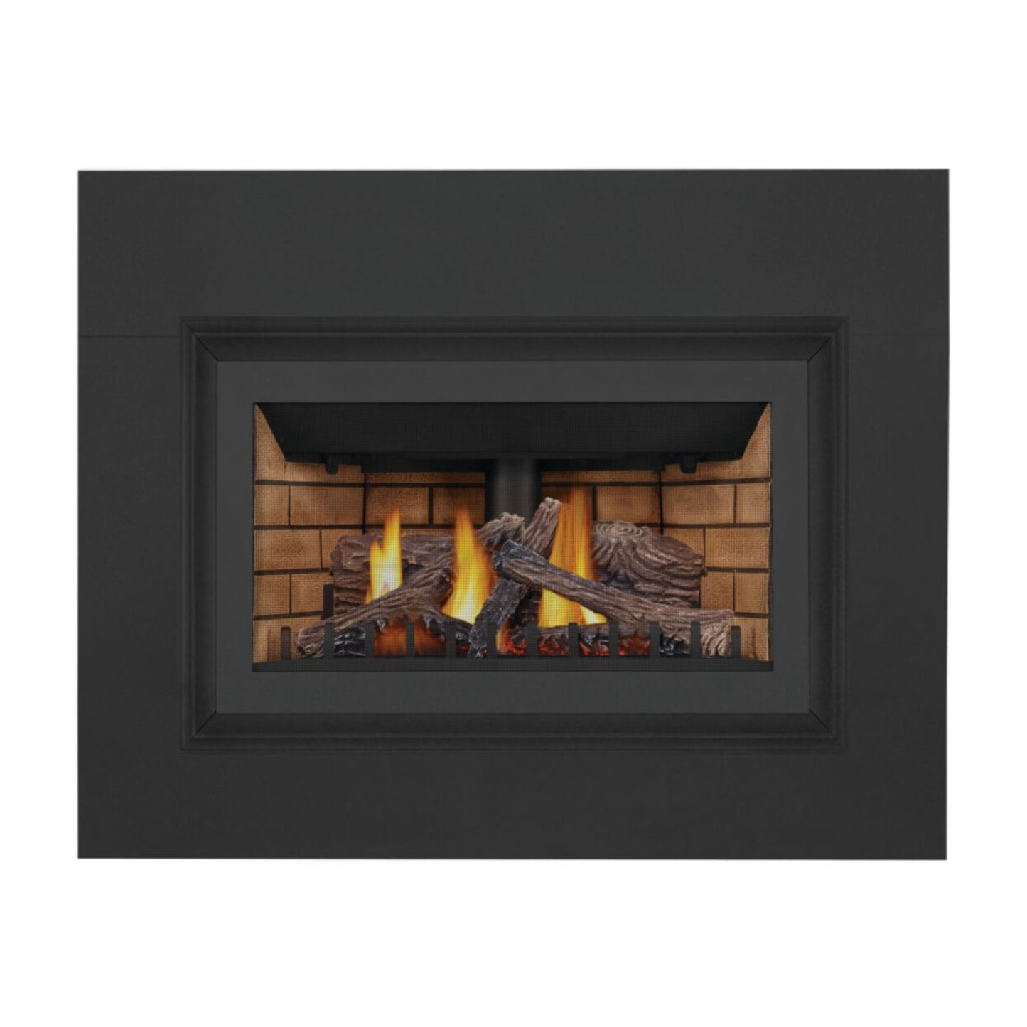 Napoleon Inspiration ZC Direct Vent Gas Fireplace Insert, Millivolt Ignition, Natural Gas