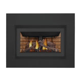 Napoleon Inspiration ZC Direct Vent Gas Fireplace Insert, Millivolt Ignition, Natural Gas