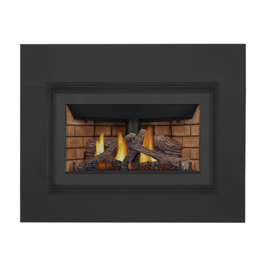 Napoleon Inspiration ZC Direct Vent Gas Fireplace Insert, Millivolt Ignition, Natural Gas