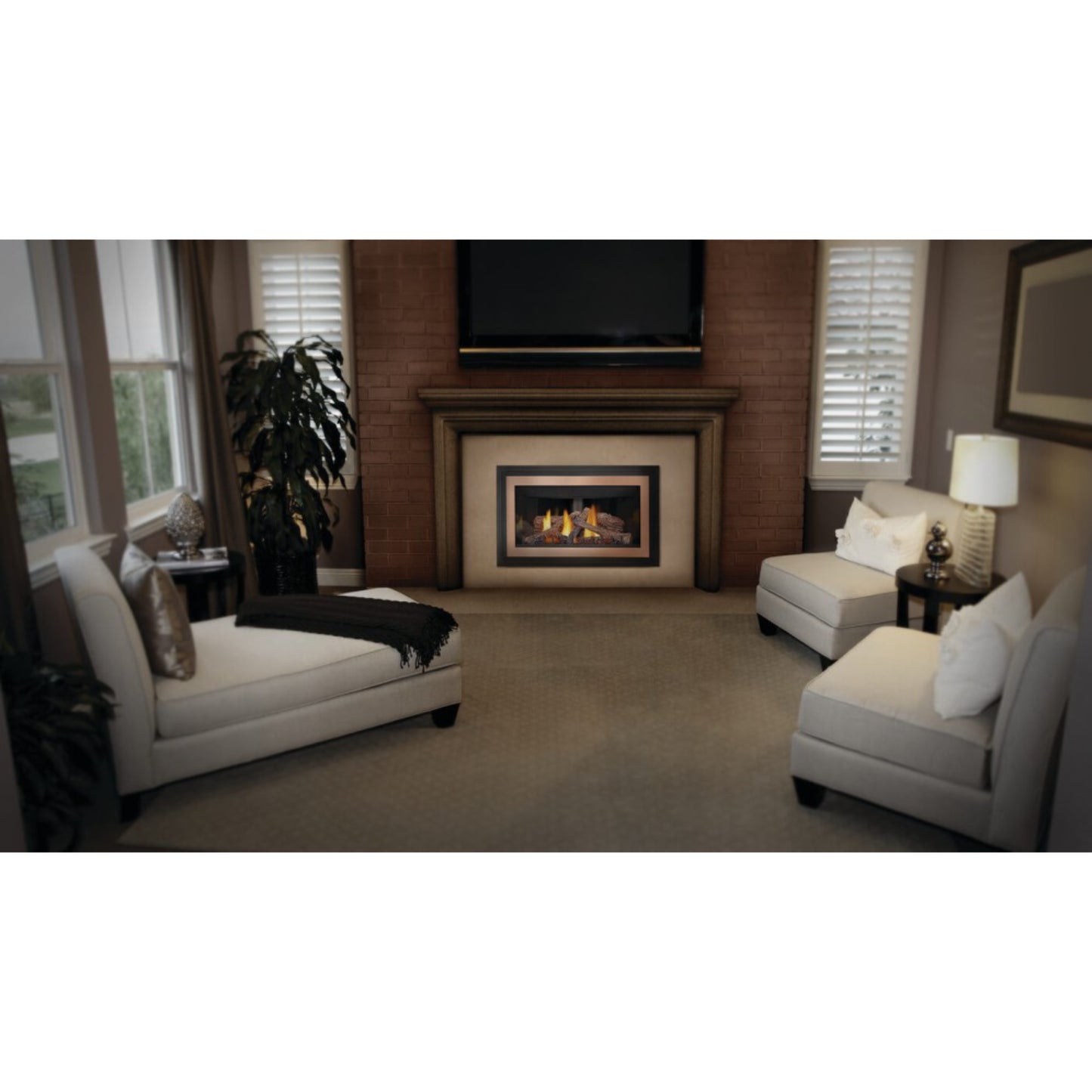 Napoleon Inspiration ZC Direct Vent Gas Fireplace Insert, Millivolt Ignition, Natural Gas