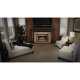 Napoleon Inspiration ZC Direct Vent Gas Fireplace Insert, Millivolt Ignition, Natural Gas