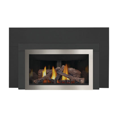 Napoleon Inspiration ZC Direct Vent Gas Fireplace Insert, Millivolt Ignition, Natural Gas