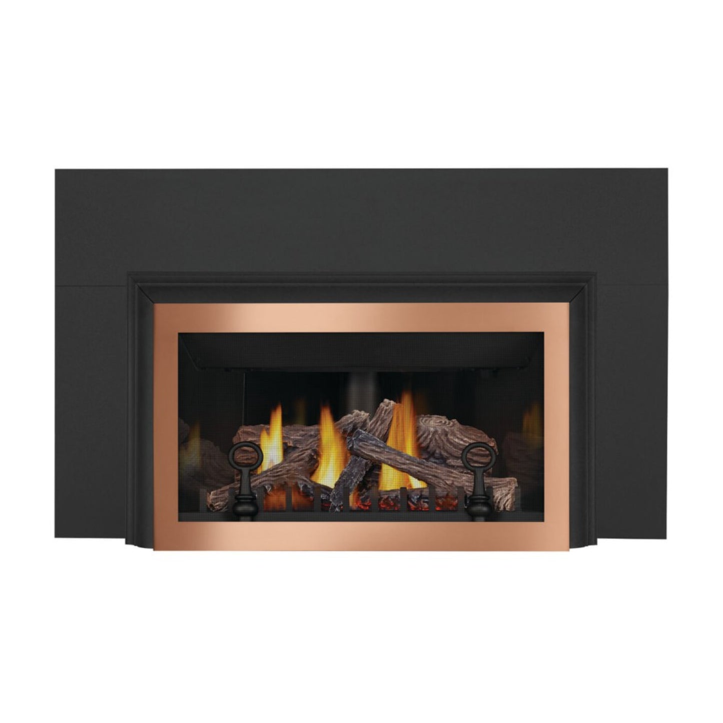 Napoleon Inspiration ZC Direct Vent Gas Fireplace Insert, Millivolt Ignition, Natural Gas