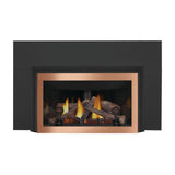 Napoleon Inspiration ZC Direct Vent Gas Fireplace Insert, Millivolt Ignition, Natural Gas