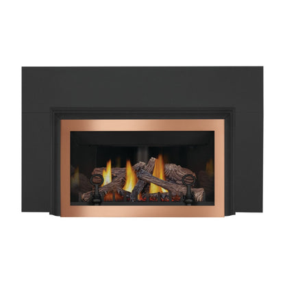 Napoleon Inspiration ZC Direct Vent Gas Fireplace Insert, Millivolt Ignition, Natural Gas