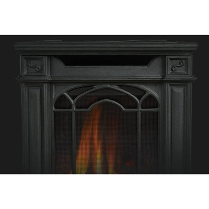 Napoleon Arlington Series Direct Vent Gas Stove, Metallic Black