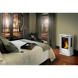 Napoleon Castlemore Direct Vent Gas Stove, Winter Frost, Natural Gas