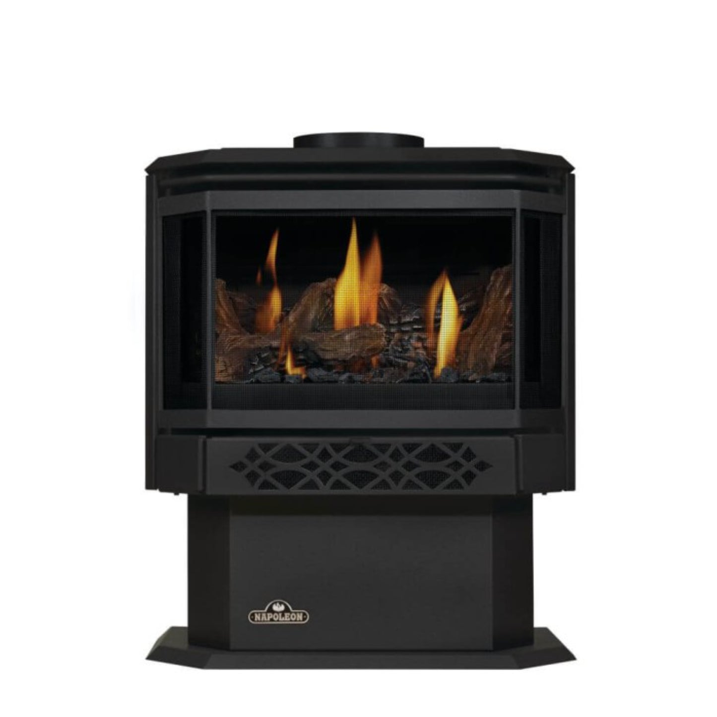 Napoleon Haliburton Direct Vent Gas Stove